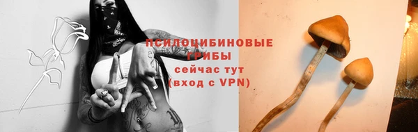 ГАЛЛЮЦИНОГЕННЫЕ ГРИБЫ Алзамай