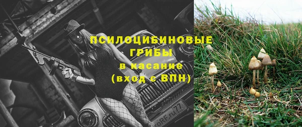 ГАЛЛЮЦИНОГЕННЫЕ ГРИБЫ Алзамай