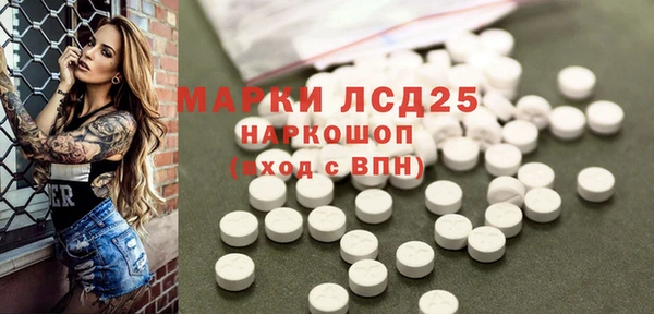 стафф Алексин