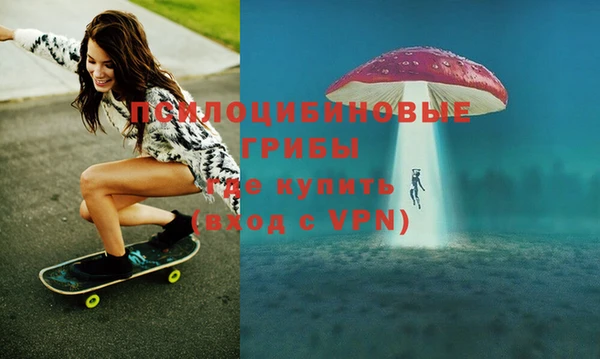 ГАЛЛЮЦИНОГЕННЫЕ ГРИБЫ Алзамай