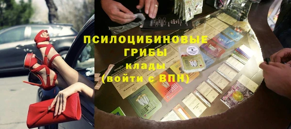 ГАЛЛЮЦИНОГЕННЫЕ ГРИБЫ Алзамай